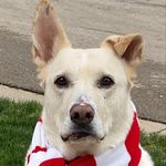 Edward Dunkin junior - @eddie__the_polar_bear - Instagram