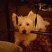 Edward Dunmire - Facebook