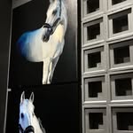 Edward Dương - @edward_duong1 - Instagram