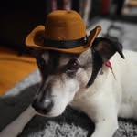 Edward Duong - @big_edd420 - Instagram