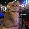 edward10516 - @edward10516 - TikTok