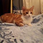 Edward Dyck - @edwarddyck - Instagram