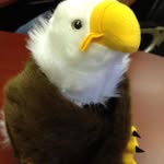 Edward Eagle - @edward.eagle - Instagram