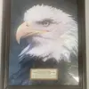 edwardeagle4 - @edwardeagle4 - TikTok