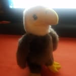 Edward.Eagle - @edward._.eagle - Instagram