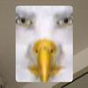 edwardeagles - @edwardeagles - TikTok