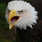 Edward Eagleton - Facebook
