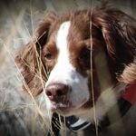 Edward Earley Tanguy lll - @earley_61 - Instagram
