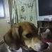 Edward Earls - Facebook