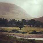 Edward William Eastham - @eweastham - Instagram