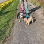 Edward Smith - @edwardeaves162022 - Instagram