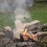 Edward Elizabeth Eckard - @eckardedward - Instagram