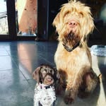 Adventures of Edward & Eden - @edward_eden2021 - Instagram