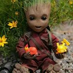 Edward Edmond - @edwardedmond3 - Instagram