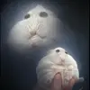 Eickhoff: ) - @eickhoff90 - TikTok