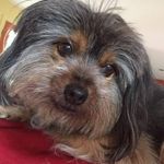 Edward Einhorn - @edward.einhorn.3 - Instagram