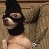 Edward Eisenberg - @edward.eisenberg - TikTok