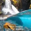 eisenbergedward - @eisenbergedward - TikTok