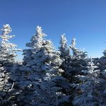 Edward Eller - @edwardeller82 - Instagram