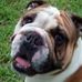 Eddie Etheridge - Facebook