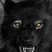 Edward Finney - Facebook