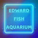 EDWARD FISH AQUARIUM - @edward_fish_aquarium - Instagram