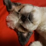 Edward The Fish - @edward_fishy - Instagram