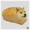 user399719597608 - @edwardfish - TikTok