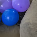 calvin Edward frick - @cal81705 - Instagram