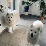 Edward Friend - @dujmaskn - Instagram