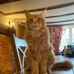 King Edward & Friends - @king_edward_and_friends - Instagram