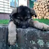-1234- - @edward.fuchs - TikTok