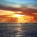 Ed Fyfe - Facebook