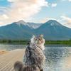 Edward Gacho - @edward.gacho - TikTok