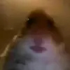 edwardgacha Π×🤍🤍 - @edwardgacha4 - TikTok