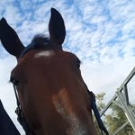 Edward Gale - @edward.gale008 - Instagram