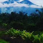 Edward Gani - @edward.gani - Instagram