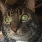 Theodore Edward Gans - @fatty.ted - Instagram