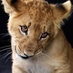 Edward Garces - @redgard09 - Instagram