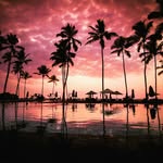 fuck. - @edward_garde - Instagram