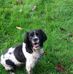 Eddie Garrard - Facebook