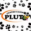 Edward Gasca - @ccpluto_ - TikTok