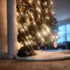 gavin - @gavin.edwards1 - TikTok