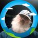 Eddie Geary - Facebook