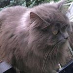 Edward Grabowski - @edward.grabowski.988 - Instagram