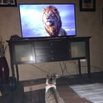 Edward Grantham - @grantham_edward - Instagram