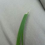 edward - @edward.sexy.grass - Instagram