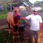 Edward Gregorio Nuñez Oropeza - @gregorio_oropeza - Instagram