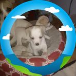 Edward Greiner - Facebook