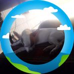 Edward Greiner - Facebook